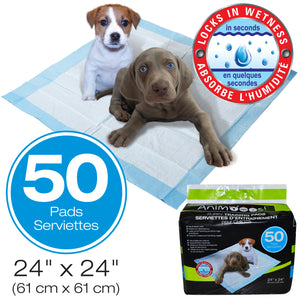 Animooos tapis d'entrainement pour chien pk50 - Dollar Royal