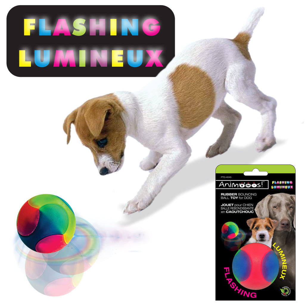 Animooos jouet pour chien
