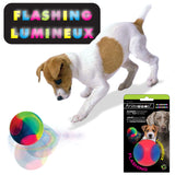 Animooos jouet pour chien