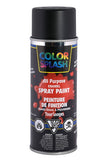 Color Splash peinture en aérosol 12oz