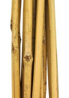 Tuteurs bambou 2' pk16