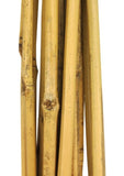 Bamboo stakes 2' pk16