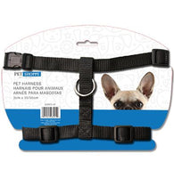 2CM X 35/50 CM dog harness.