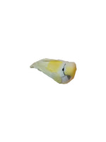 Oiseau décoratif plumes jaunes et blanches