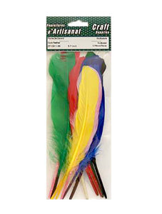 Feathers 5-7 in. multicolored